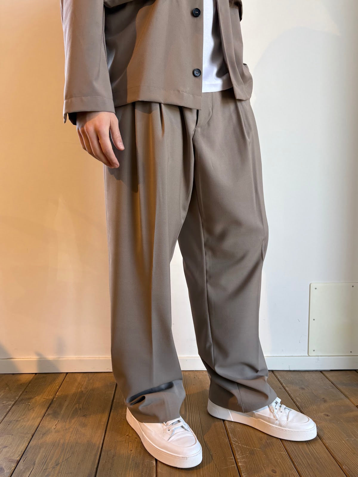 PAnt Mudanza